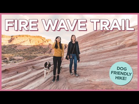 與狗一起在火谷州立公園遠足火浪徑 (Hiking Fire Wave Trail with the Dogs at Valley of Fire State Park)