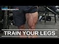 Grow your quads!