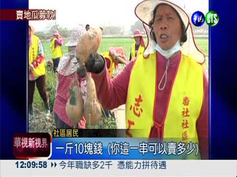 農地種有機番薯 社區募款自己來!