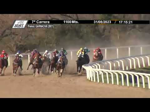 230831 c07 1° SOY DANZARIN