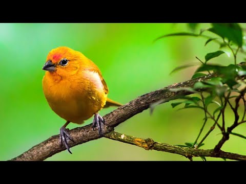 "In the rain" 로맨틱한 수면음악 - 그대는 꿈이었을까..