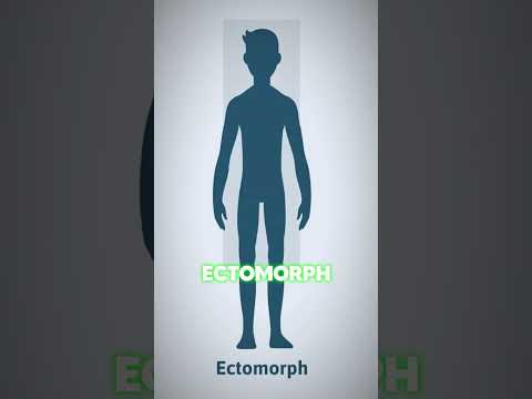 Which of these 3 body types are you