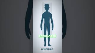 Which of these 3 body types are you