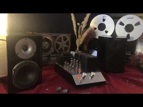 Bookshelf best price with Tube Amplifier - Audiophile NBR Music