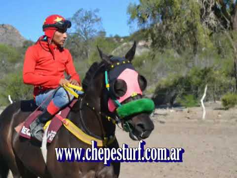 ROSARITA 22 12 2018 HIP  EL LOBUNO VIDEO DE CHEPES TURF