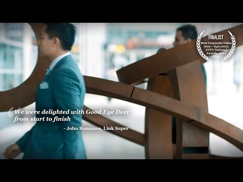 LINK GROUP internal promotional video