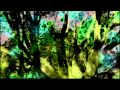 Diary In A Cracked Forest  -  Saucer73   (Simply Saucer spinoff)