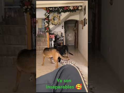 Se entienden como hermanas 💪🏾🥰