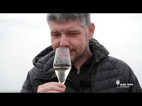 Wine Trips Romania | S2 | E6 : 🍷Cătălin Neamțu în vizită la Casa de Vinuri Cotnari