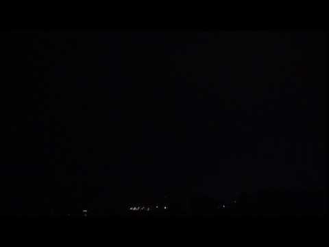 1.8”Green glitter willow and mine 绿闪花束