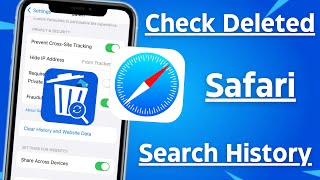 How to Check Deleted Safari History on iPhone