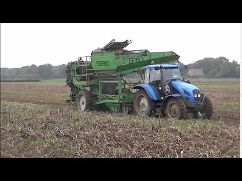 Potato harvest with Landini Vision 95 and Sterbo