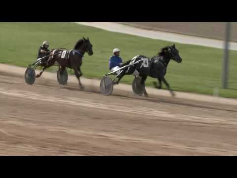 2017.05.13. 8. futam - REGEDAL HENDIKEP