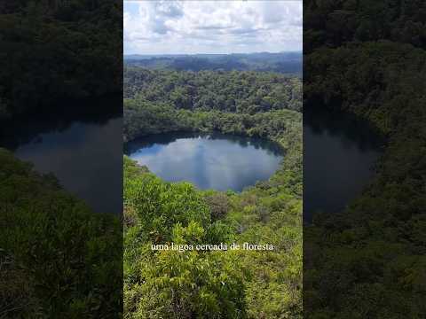 UMA LAGOA CERCADA DE FLORESTA