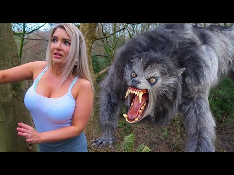 Von einem Werwolf gejagt!!