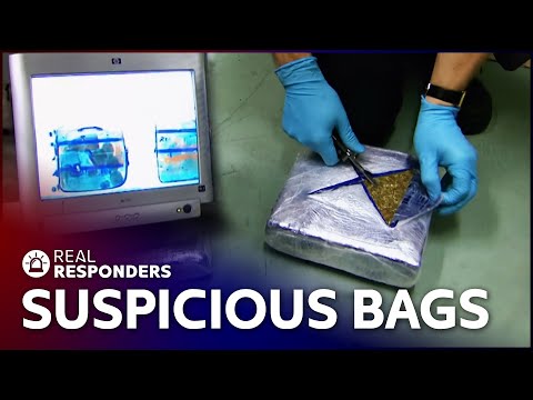 On The Hunt For Drug Smugglers And Illegal Goods | Best Of Customs | Real Responders