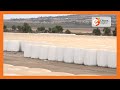 SMART FARM Baled Silage Making In Machakos