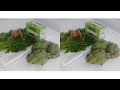 HOW TO PREPARE SLIM TEA