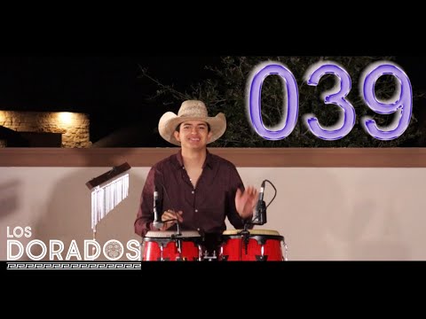 Los Dorados - 039 (En Vivo)