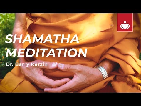 SHAMATHA (SINGLE-POINTED) MEDITATION with Dr. Barry Kerzin