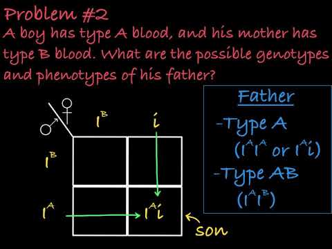 Blood Type Problems Pdf Answer Key