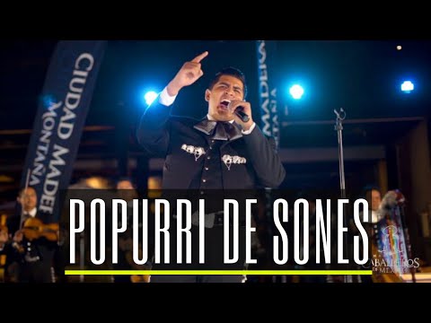 Mariachi Caballeros de México | Popurrí de Sones (El Cihualteco / Toro Viejo)
