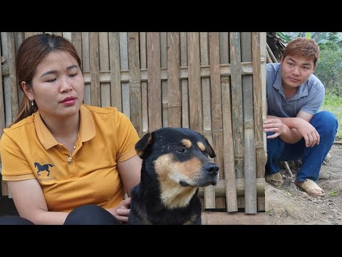 Full video 65 days of construction - free life bamboo house - strong girl and honest boy