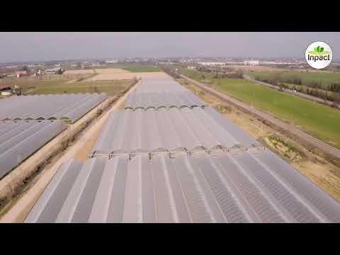 V OP Sole & Rugiada  una visita nelle serre per la coltivazione delle insalate di IV gamma