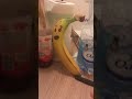 How To Make A Sandwich