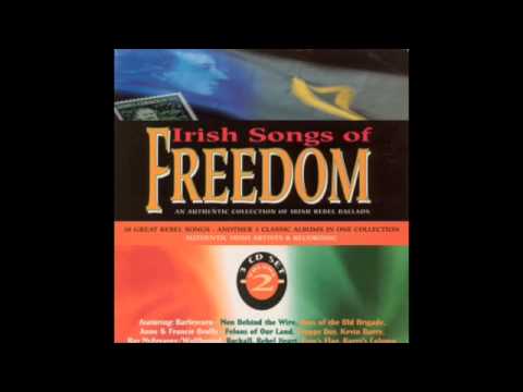 Broad Black Brimmer - The Barleycorn