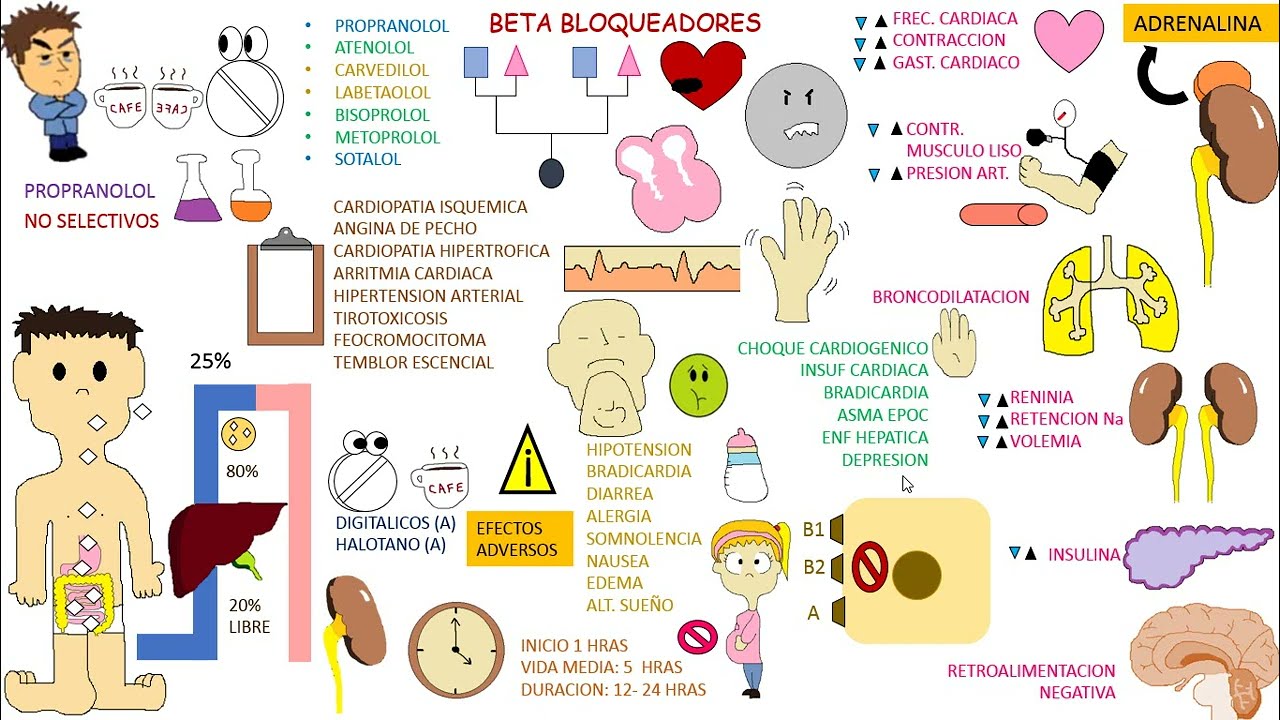 Antihipertensivos. Beta Bloqueadores