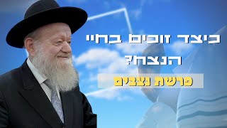 פרשת נצבים - כיצדים זוכים לחיי הנצח? | הרב יוסף צ. בן פורת - שידור חי!