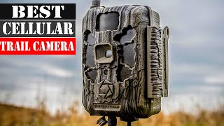 The 7 Best Cellular Trail Camera 2026
