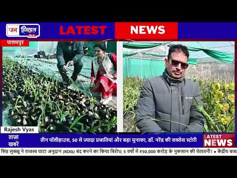 पालमपुर में डॉ. नरेंद्र पाठक ने Orchid Farming में सफलता पाई