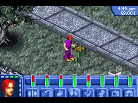 Les Sims 2 : Animaux & Cie GBA