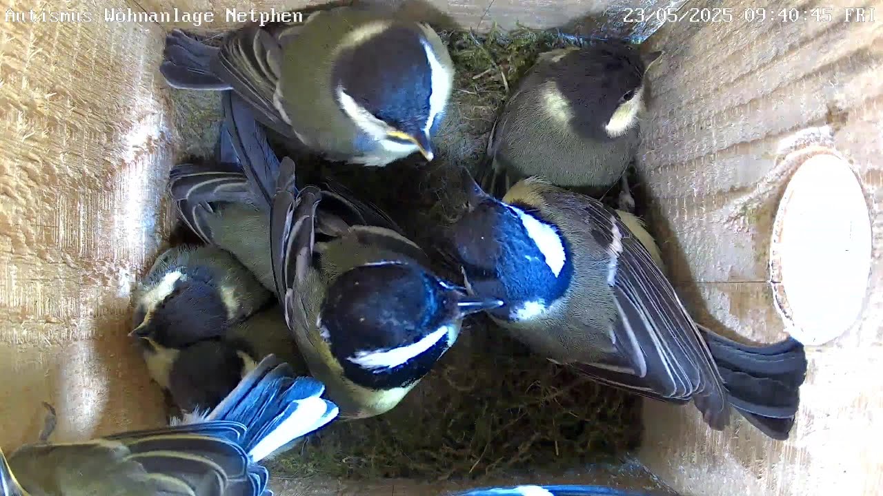 Ausflug der Küken an der Autismus Wohnanlage | 23.05.2025