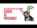 The Pet Detective: Lost Dog Codie