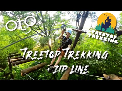 A Zip-Line Adventure | Treetop Trekking Brampton, ON