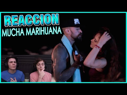 ARGENTINOS REACCIONAN A Mucha Marihuana - Cartel de Santa (VIDEO OFICIAL) New Video
