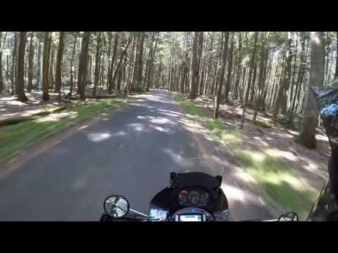 MABDR Segment 7 Rothrock State Forest on a KLR