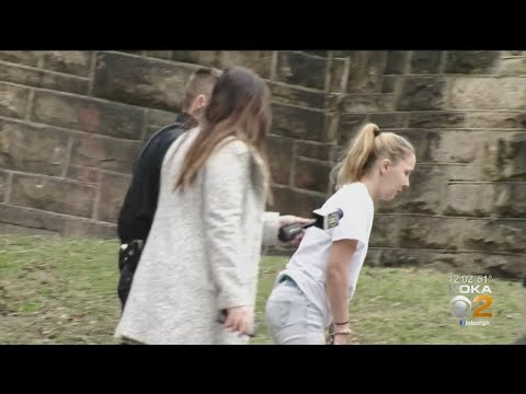 コネルズビルでの殺人事件の後にアンバーアラートが発行されました。 (Amber Alert Issued Following Murder In Connellsville)