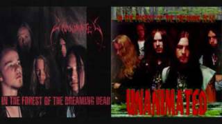 Unanimated - Cold Northern Breeze