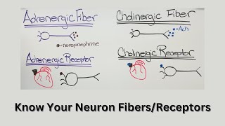 Neurotransmitters