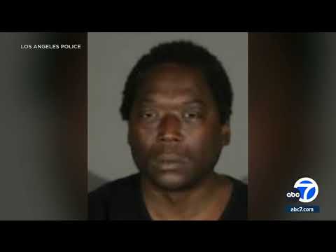 Man Arrested for Fatally Stabbing Woman on Metro Train