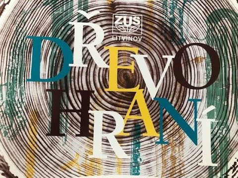 Vítěz Dřevohraní 2021 - kategorie V a - Kotal Matěj - klarinet