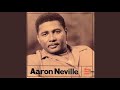 That's the Way She Loves - Aaron Neville