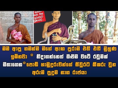 මගෙ මුහුණත් ඉඹිනවා ජීවිතය දුන්නාට කීකරු නාගයා නිදාගන්නෙත් මගෙ ඔළුම වටේ රවුමක් ඔතාගෙන