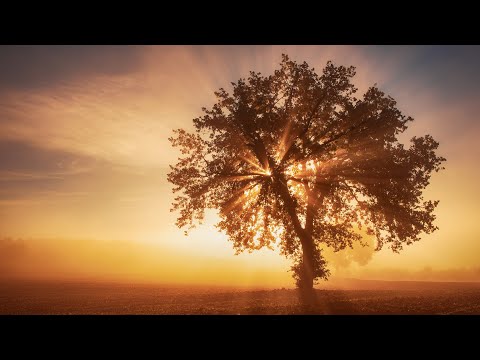 ‚Psalm 23 – mal ganz anders‘ und ‚Die Spannung zwischen Warten und Handeln‘