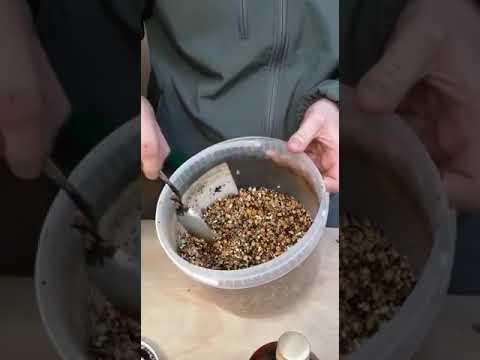 SG Müller – Versorgung der Zuchttauben in der Reisesaison 2019