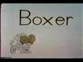 Sesame Street B For Boxer